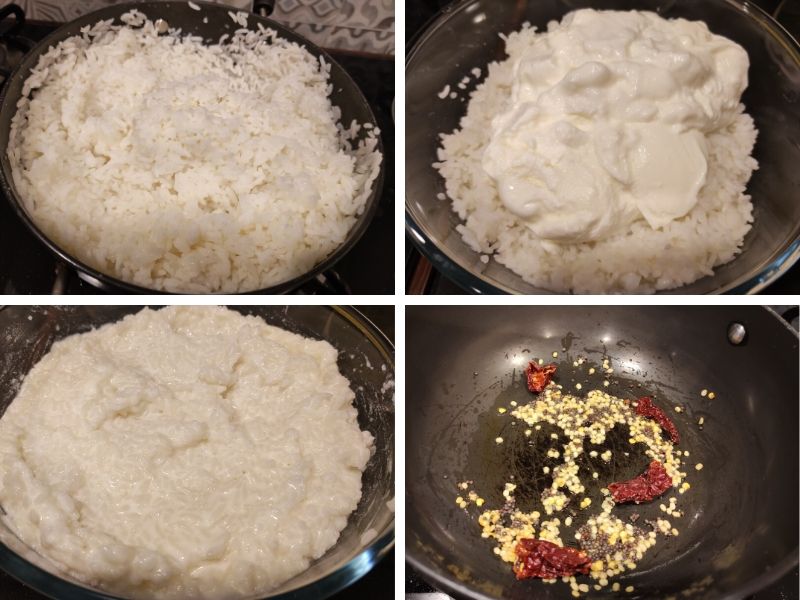 Collage of 4 photos showing the step by step process of making curd rice