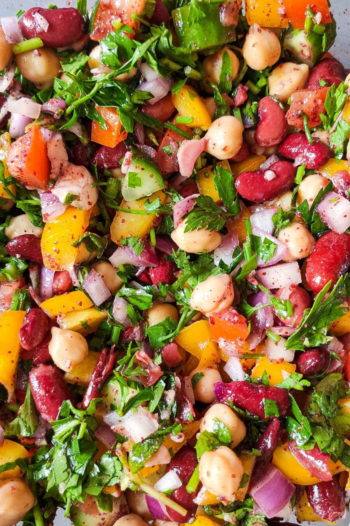 Middle eastern bean salad garnished with fresh herbs.