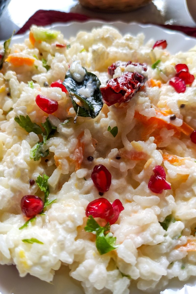 Closeup shot of curd rice garnished with pomegranate seeds