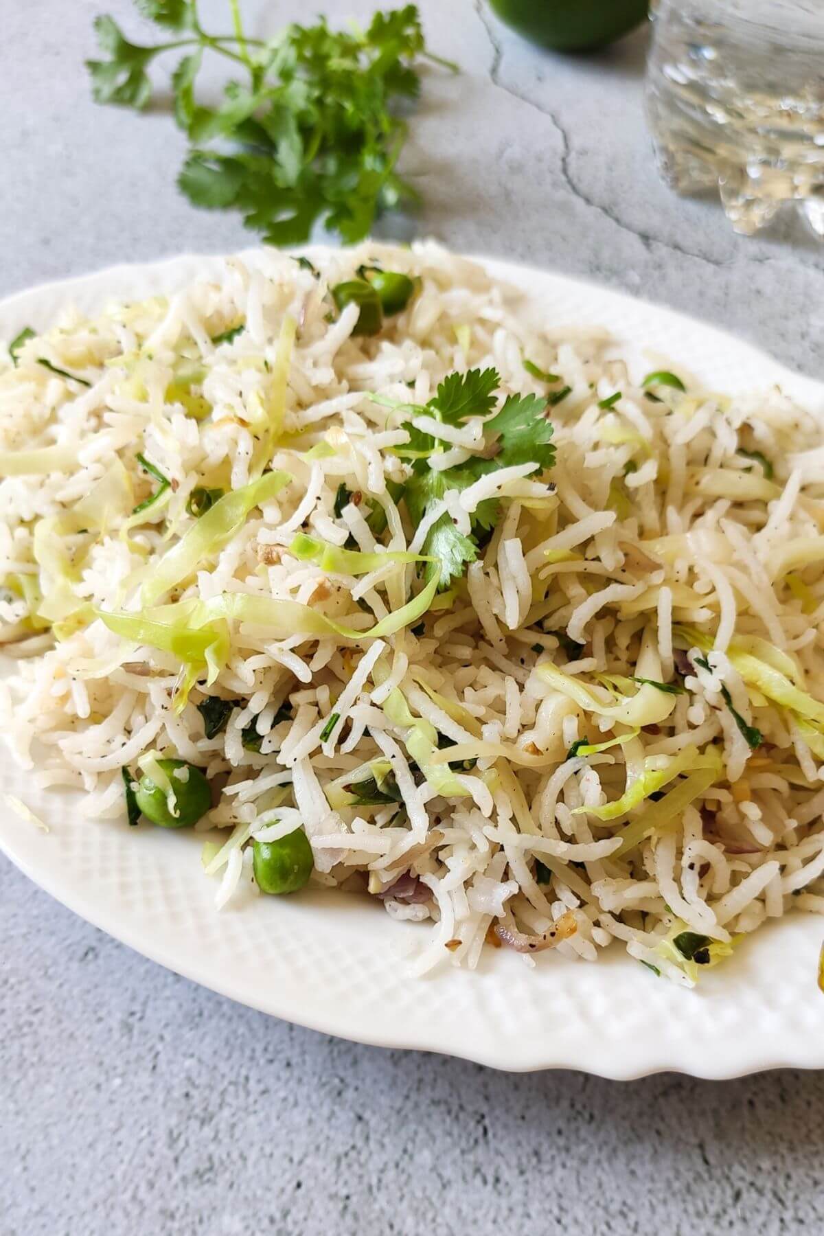 Cabbage fried rice served on a white plate with cilantro and a glass of water in the background