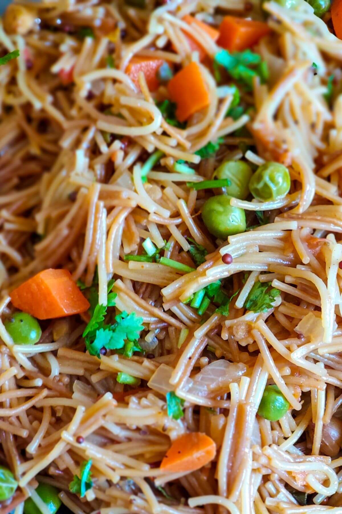 Close up shot of Indian style vermicelli loaded with vegetables
