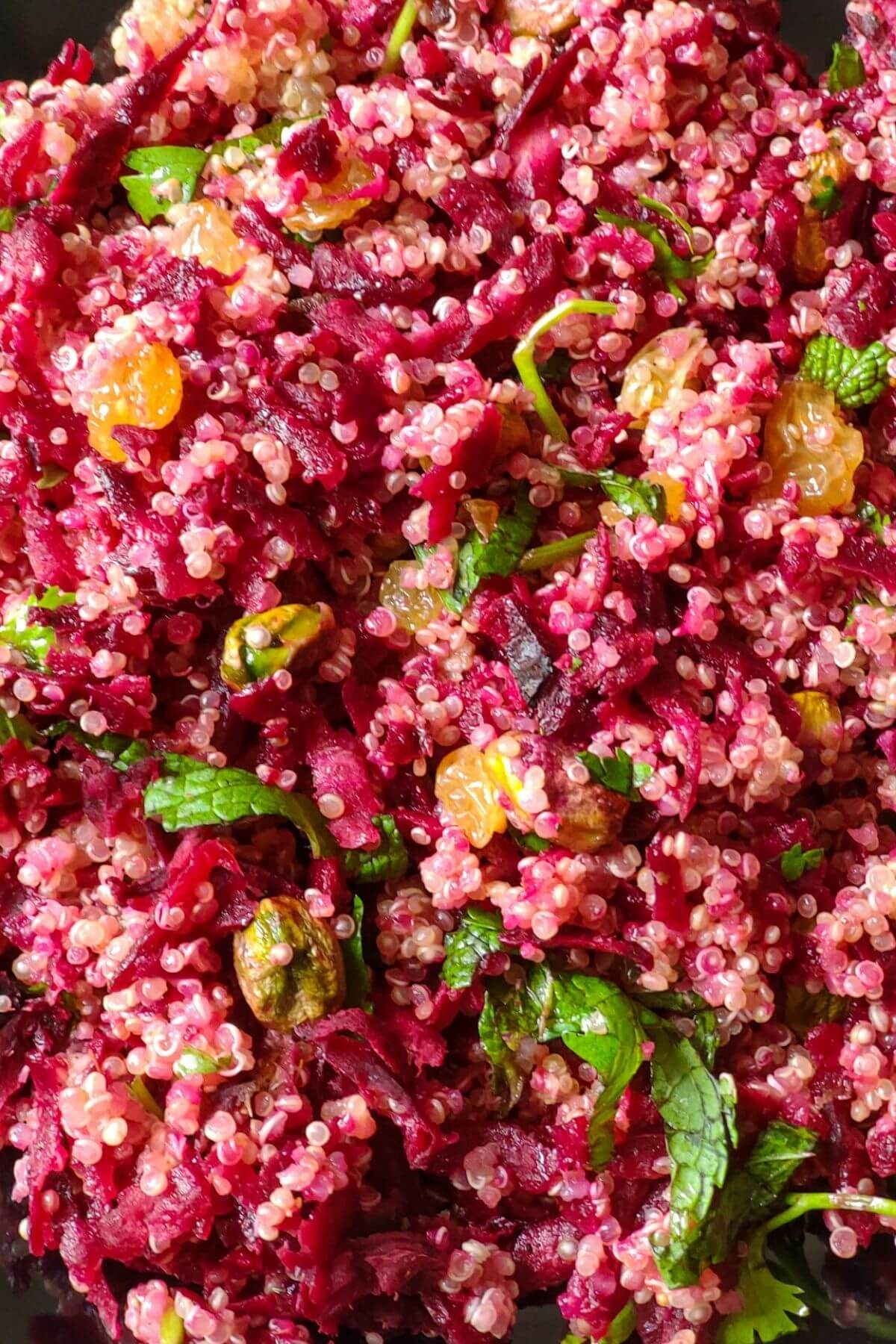 Close up shot of quinoa beet salad