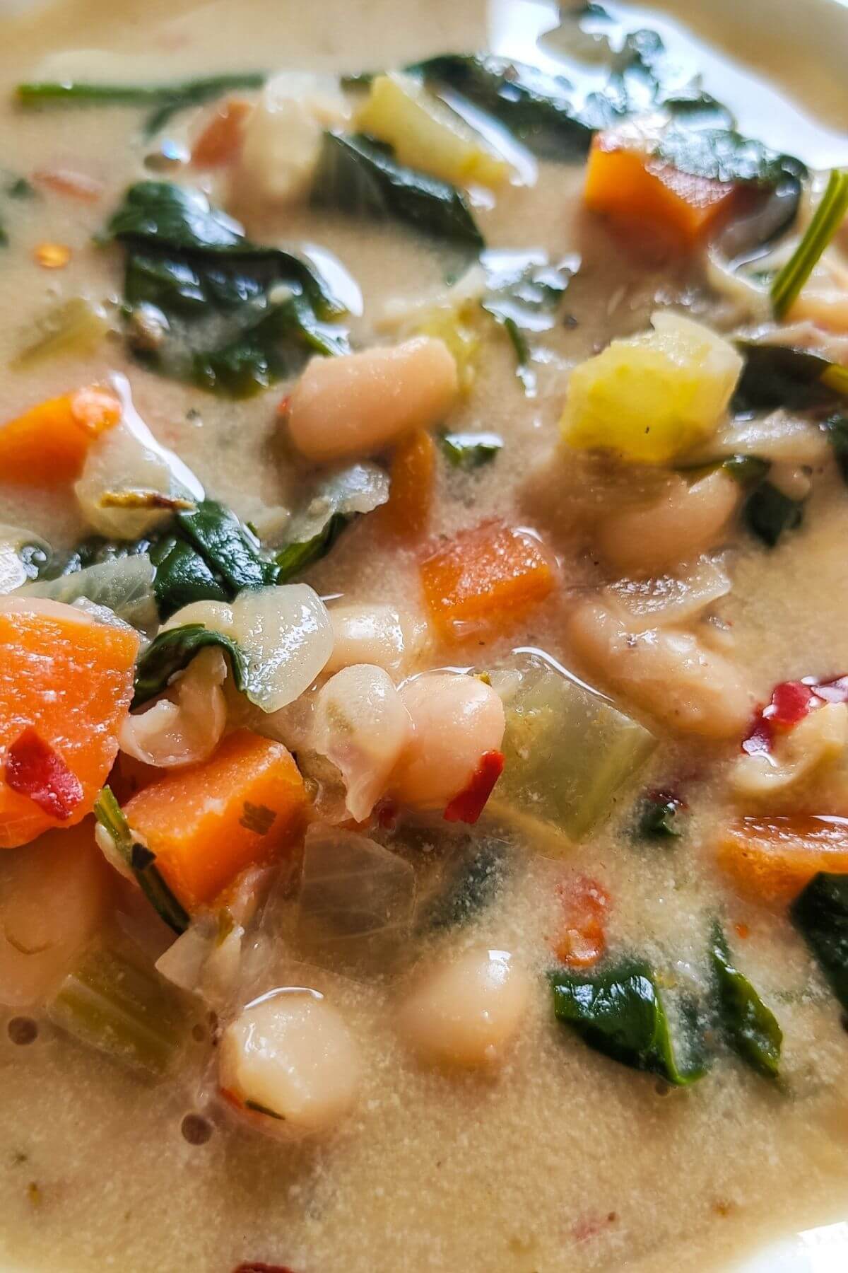 close up shot of white bean vegetable soup