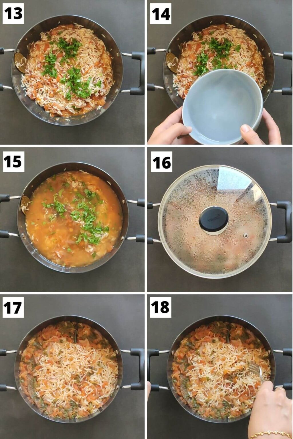Tomato rice-Indian style