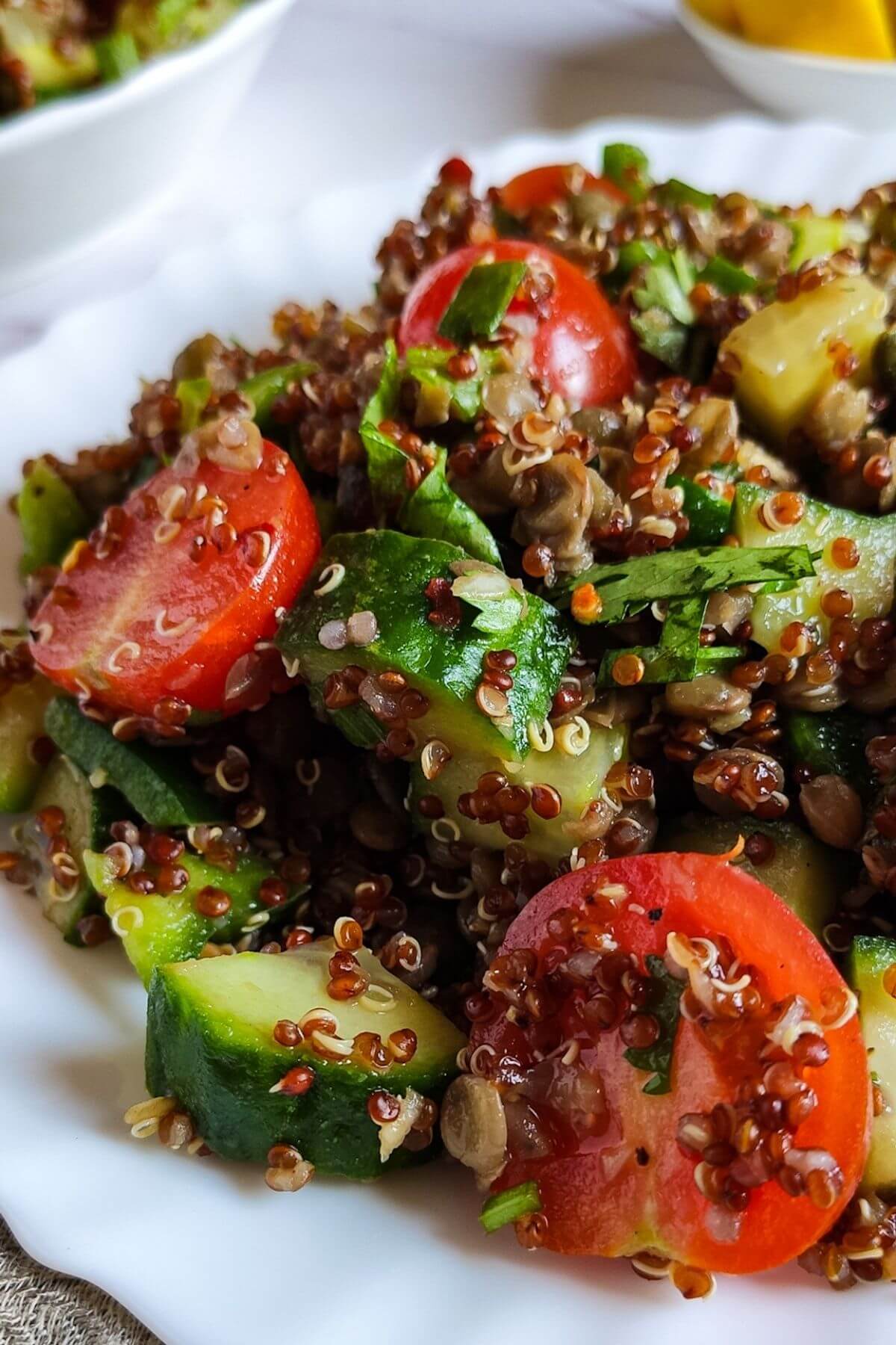 lentil quinoa salad with tomatoes on a white plate
