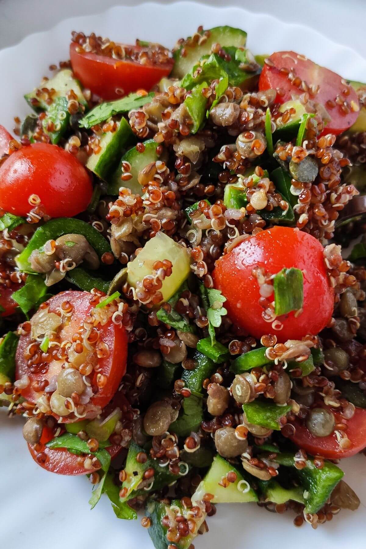 Lentil quinoa salad on a white plate.