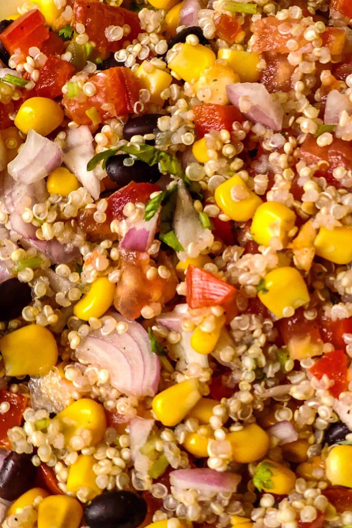 Close up shot of Mexican quinoa salad with black beans, corn, and vegetables.
