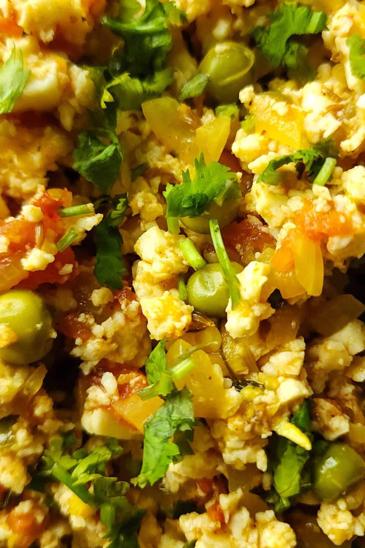 Close up shot of paneer bhurji garnished with fresh cilantro.