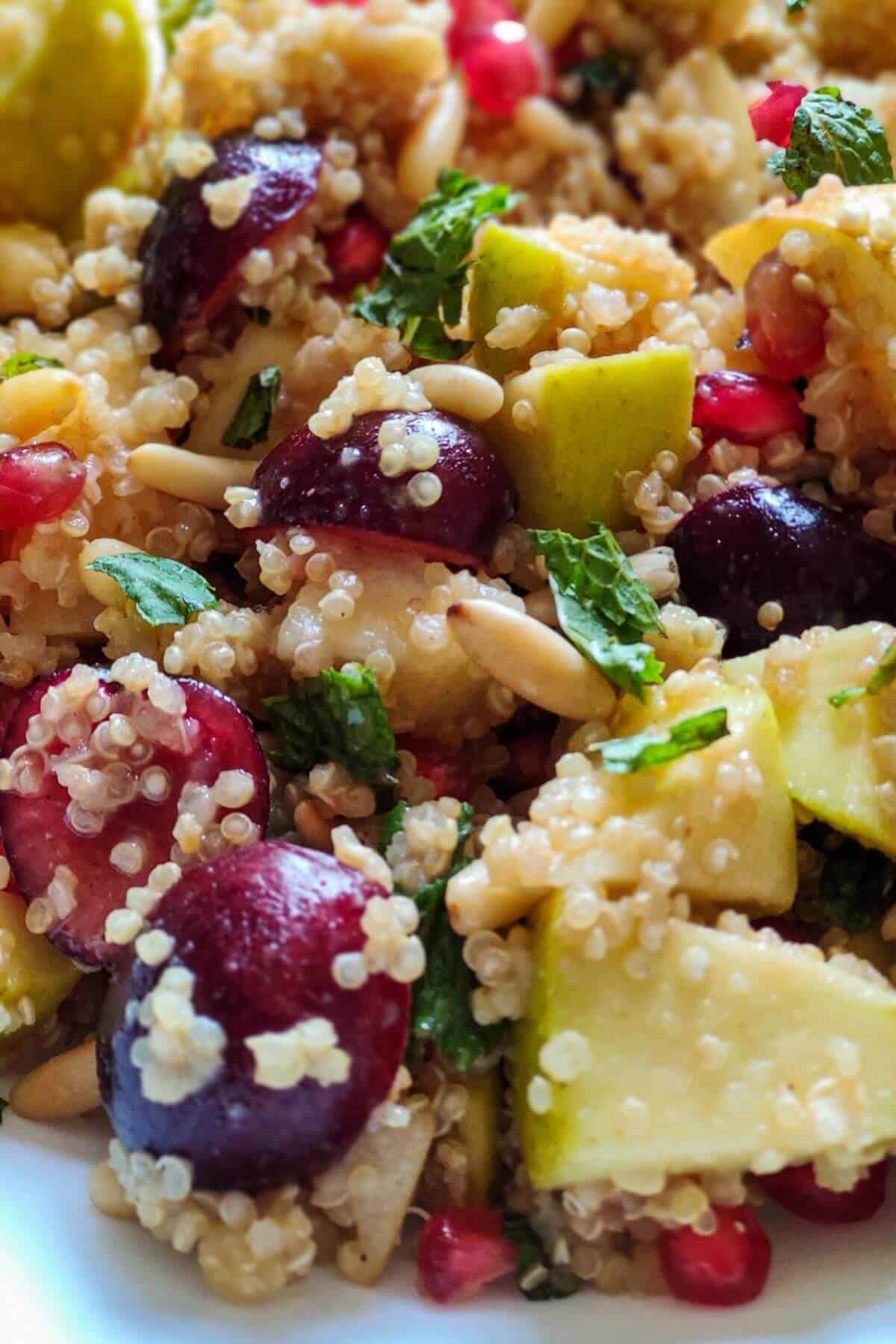 Close up shot of quinoa salad with fruits and nuts
