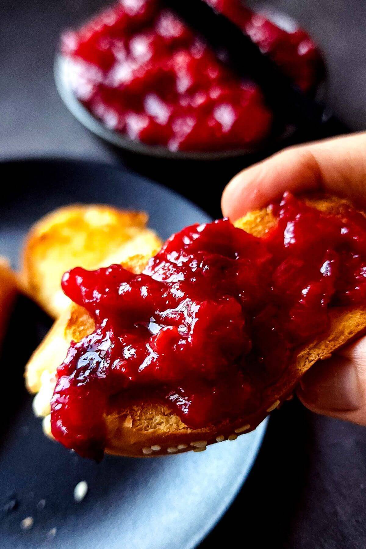 A slice of bread with spicy plum chutney held in a hand.