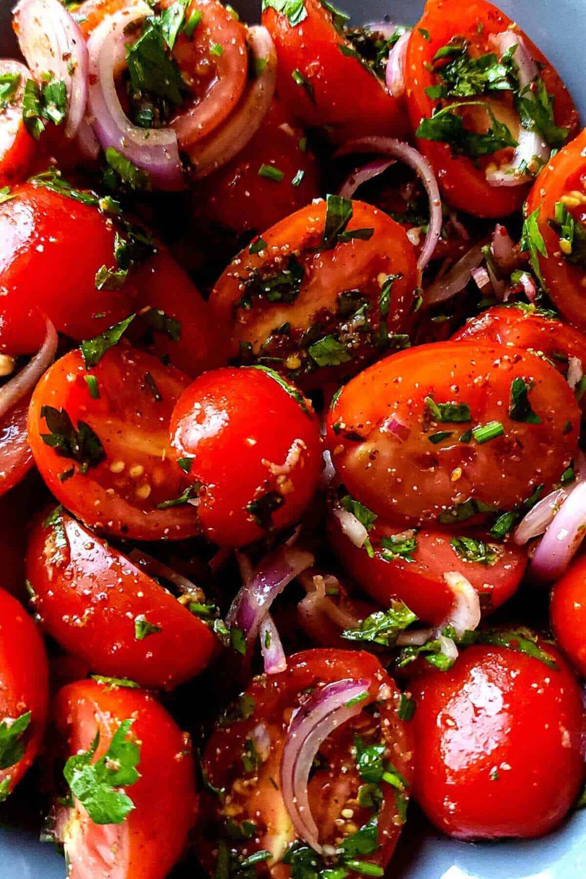 Close up shot of Middle Eastern Roma tomatoes and onion salad.