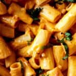 Spicy rigatoni pasta garnished with chopped parsley.