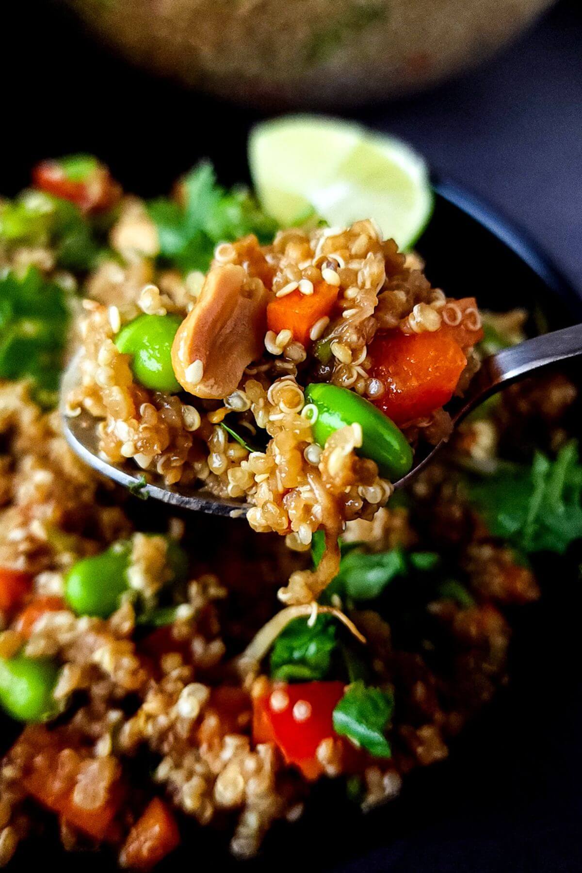 A spoonful of Asian quinoa salad held over a bowl of salad.
