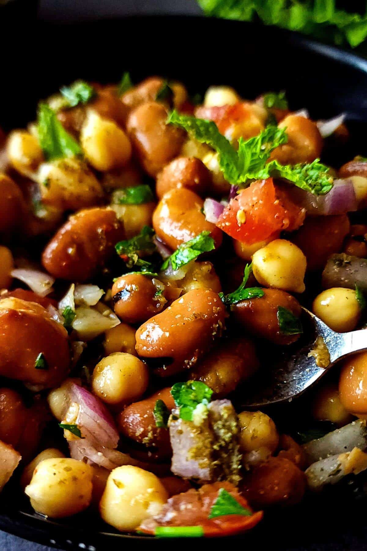 Fava bean salad with chickpeas in a bowl with a spoon.