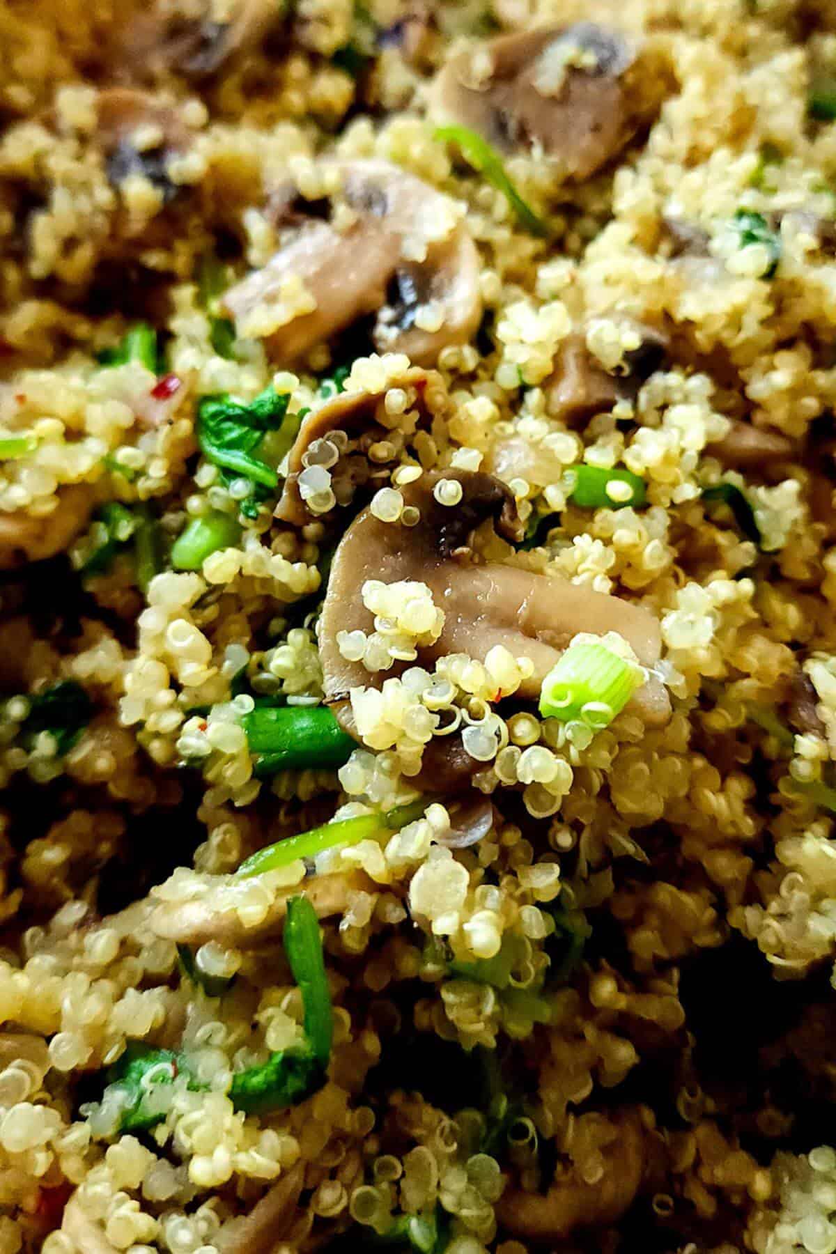 Mushroom spinach quinoa garnished with chopped green onions.