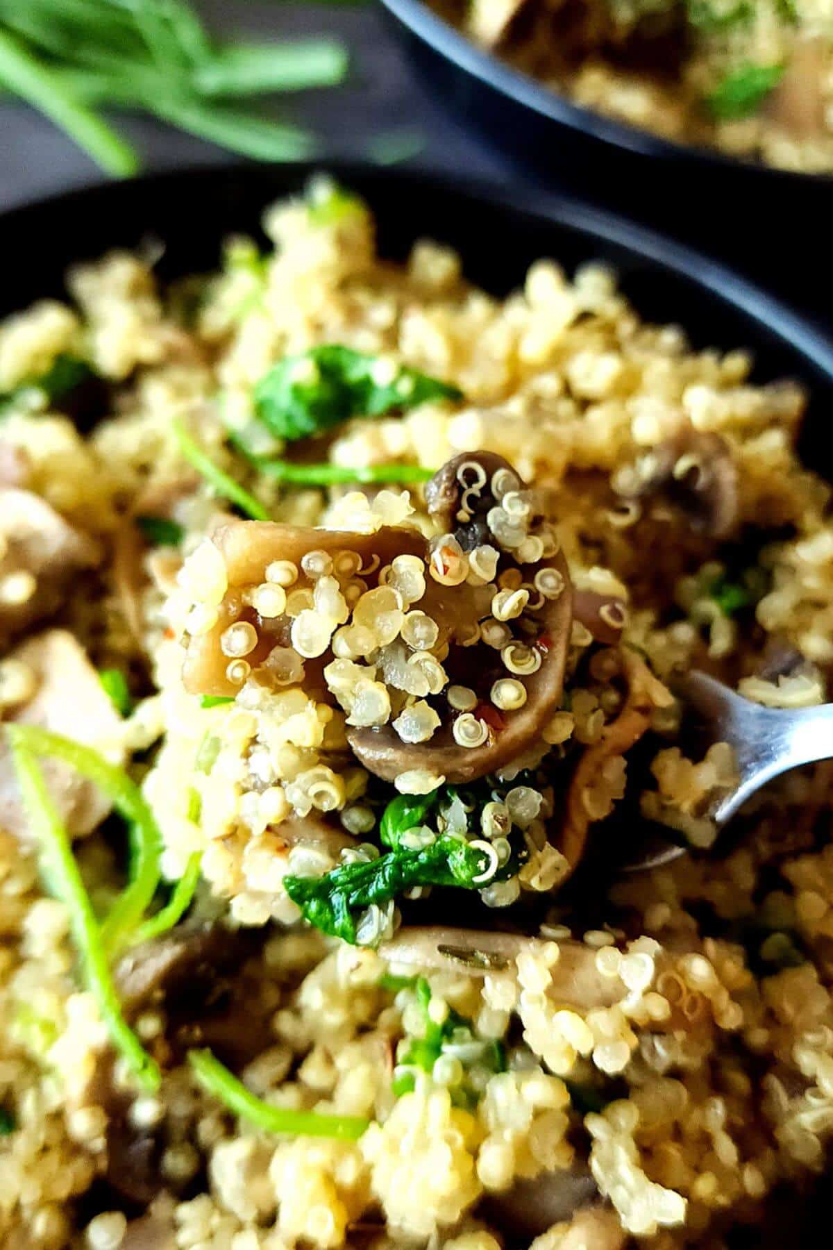 Mushroom spinach quinoa in a bowl with a spoon.