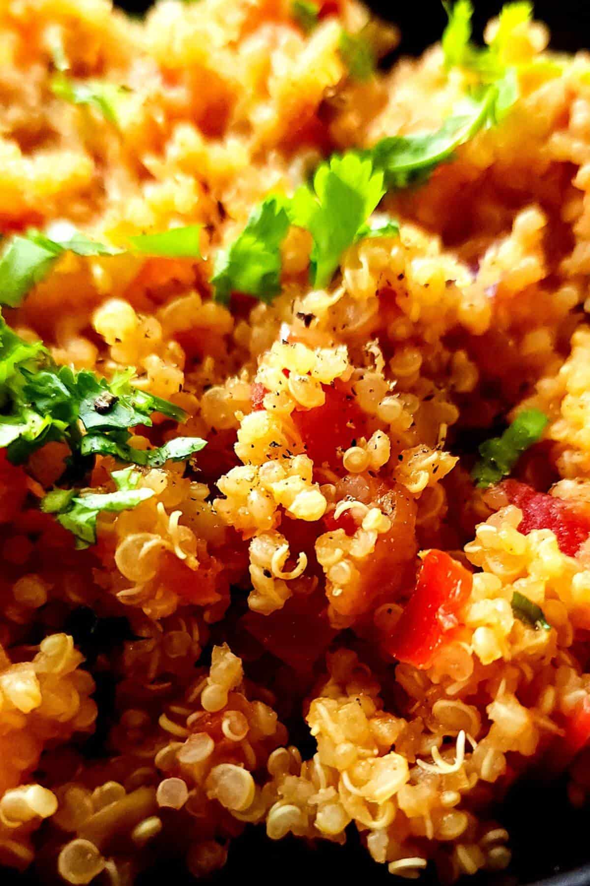 Close up shot of quinoa with tomatoes and cilantro.