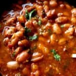 Pinto bean curry garnished with chopped cilantro.