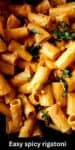 Spicy rigatoni pasta in creamy Calabrian chili sauce garnished with chopped basil.